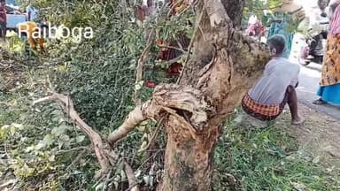 ରାଇବଗା: ରଙ୍ଗିଆଡ଼ିପା ମୁହାଣୀ ରାସ୍ତାରେ ଗଛକୁ ଧକ୍କାଦେଲା ବାଇକ, ଚାଳକ ମୃତ