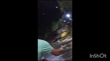 होशंगाबाद नगर: फेफरताल में एक घर में निकला कोबरा प्रजाति का सांप, सर्प मित्र ने रेस्क्यू कर जंगल में छोड़ा