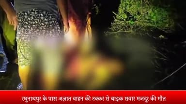 पूरनपुर: रघुनाथपुर के पास अज्ञात वाहन की टक्कर से बाइक सवार युवक की हुई मौत