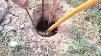 गोरखपुर: आबकारी विभाग की टीम में राजघाट थाना क्षेत्र के अमरूतानी में अवैध कच्ची शराब के अड्डों पर की छापेमारी,दो मुकदमे दर्ज