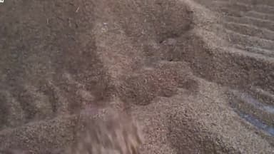 कैथल: जींद रोड नई अनाज मंडी में किसान को मजबूरी में वापस उठानी पड़ी अपनी धान