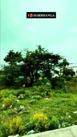 दरभंगा: Tumhein Hum Dhundhte Hai | Darbhanga Kali Mandir | #darbhangashyama #ilovedarbhanga #kalimaa #dbg