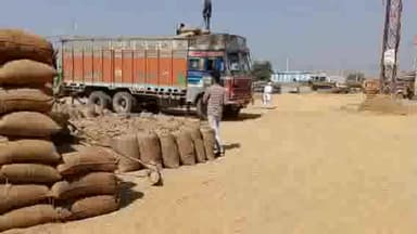 पंचकूला: पंचकूला जिला की तीनो अनाज मंडियों में 59492 मिट्रिक टन धान की हुई खरीद, प्रवक्ता ने सेक्टर 1 पंचकुला में दी जानकारी