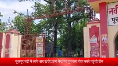 पूरनपुर: पूरनपुर मंडी में लगे धान खरीद क्रय केंद्र पर धान की गुणवत्ता चेक करने पहुंची टीम