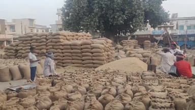 कैथल: जिला की मंडियों में न्यूनतम समर्थन मूल्य पर खरीदी गई गद्य दिवस तक 6 लाख 16 हजार 80 मिट्रिक टन धान - डीसी प्रशांत पवार