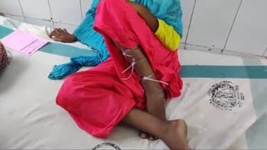 अररिया: सलायगढ़ में खेलने के दौरान एक किशोरी को सांप ने काटा, इलाज के लिए सदर अस्पताल में भर्ती