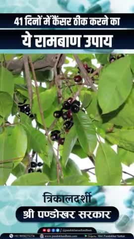 इस उपाय के करने से आपके रुके हुए कार्य मकान दुकान सब बनेगा