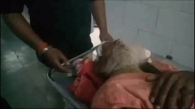 देवेंद्रनगर: बंगलन रेस्ट हाउस के पास अज्ञात वाहन की टक्कर से राहगीर 80 वर्षीय वृद्ध घायल, जिला चिकित्सालय पन्ना किया गया रेफर