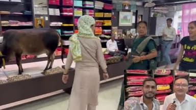 #गांव की सेवा सबसे बड़ी सेवा इससे बड़ी कोई सेवा नहीं है ग गौ माता इस दुकान में आती है और गाड़ी पर बैठ जाती है