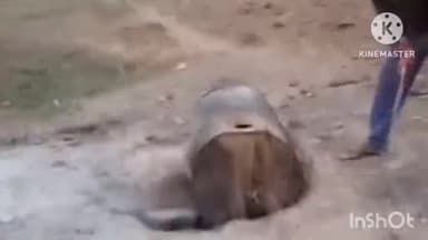 नागौद: आबकारी विभाग ने पथरौंधा गाँव में लाहन व भट्टियों को किया नष्ट, मामला दर्ज