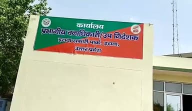 इटावा: इटावा सफारी पार्क में बिजनौर से रेस्क्यू कर लाए गए मादा तेंदुआ शावक की हुई मौत, सफारी प्रशासन में मचा हड़कंप