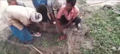 गोरखपुर: बड़गो इलाके में आतंक का पर्याय बने पागल बंदर को मुकामी लोगों ने अपने प्रयासों से पकड़ा, शिकायत पर नहीं सुना था प्रशासन