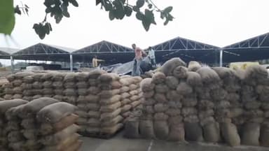 ਨਾਭਾ: ਅਨਾਜ ਮੰਡੀ 'ਚ ਬਾਰਿਸ਼ ਕਾਰਨ ਝੋਨੇ ਦੇ ਨੁਕਸਾਨ ਤੇ ਕਿਸਾਨਾਂ ਨੇ ਸਰਕਾਰ ਤੋਂ ਮੁਆਵਜੇ ਦੀ ਕੀਤੀ ਮੰਗ