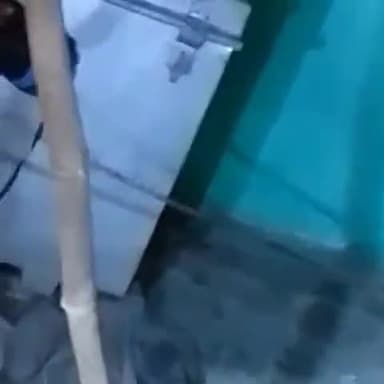 धनौरा: ख्यालीपुर ढाल के पास खाद के गोदाम में निकला कोबरा सांप, मौके पर पहुंची डायल 112 पुलिस व वन विभाग की टीम