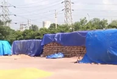 पंचकूला: ज़िले की तीन अनाज मंडियों में अब तक 66394 मैट्रिक टन धान की हुई खरीद, खाद्य एवं आपूर्ति विभाग ने दी जानकारी