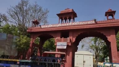 झालरापाटन: कृषि उपज मंडी में बुधवार को विभिन्न कृषि जिंसों की हुई खरीद, सफेद मक्का का अधिकतम भाव रहा ₹2901