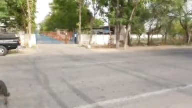 ਨਾਭਾ: ਨਵੀਂ ਜ਼ਿਲ੍ਹਾ ਜ਼ੇਲ੍ਹ ਚ ਬੰਦ ਵਿਧਾਇਕ ਖਹਿਰਾ ਨੂੰ ਮਿਲਣ ਤੋ ਬਾਅਦ ਅਨਾਜ ਮੰਡੀ ਦੇ ਹਾਲਾਤ ਦੇਖਣ ਪਹੁੰਚੇ ਪੰਜਾਬ ਕਾਂਗਰਸ ਦੇ ਪ੍ਰਧਾਨ ਵੜਿੰਗ