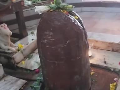 meghrajsingjahlawatbalaji