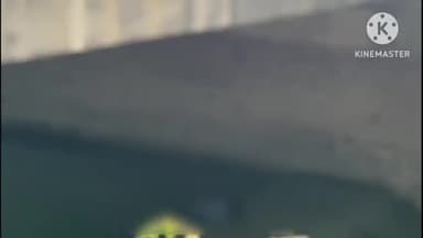 बहराइच: बाबा रसूलपुर के पास मछली मारने गए बालक की डूब कर हुई मौत,पुलिस जांच में जुटी