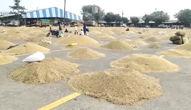 मंदसौर: लाल घाटी स्थित कृषि उपज मंडी में सोयाबीन की बंपर आवक किसानों ने कहा सोयाबीन के मिल रहा है किसानों को कम दाम