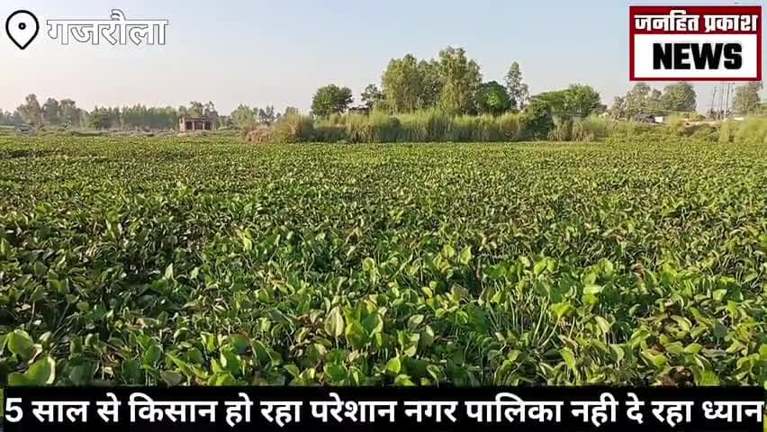 धनौरा: "नगर पालिका के कारण 5 सालों से चल रहा है किसानों का नुकसान: योगी सरकार में चिंताजनक समस्या" #jhpnews