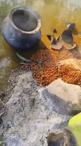 झालरापाटन: झालावाड़ सदर थाना पुलिस ने 5 गांव में छापा मारकर 1300 लीटर वाश नष्ट की, 14 लीटर हथकड शराब बरामद, दो अभियुक्त गिरफ्तार