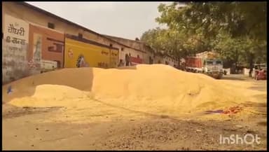 गुना नगर: नानाखेड़ी कृषि उपज मंडी 22 अक्टूबर से 24 अक्टूबर तक रहेगी बंद मंडी प्रशासन ने किसानों से उपज ना लाने की अपील