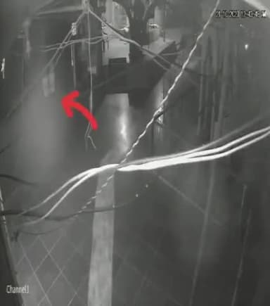 बड़गांव: गुप्तेश्वर मंदिर प्रांगण के मुख्य द्वार पर देर रात्रि को देखा गया पैंथर