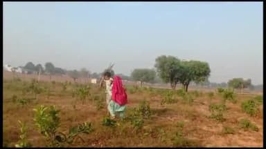 बाढड़ा: चांदवास निवासी व्यक्ति ने महिला पर लगाए मारपीट करने व बाग में पशु बांधकर नुकसान पहुंचाने के आरोप,पुलिस को दी शिकायत