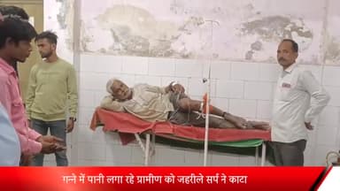 बीसलपुर: ढकिया रंजीत गांव में गन्ने में पानी लगा रहे ग्रामीण को जहरीले सर्प ने काटा, परिजनों ने बीसलपुर अस्पताल में करवाया भर्ती