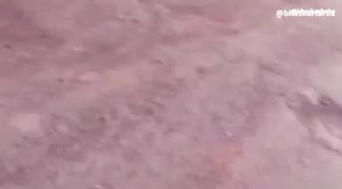 चामोर्शी: आष्टी जवळील वैनगंगा नदीच्या पुलावरून ट्रक थेट नदीत कोसळला, चालक व क्लिनरचा जीव वाचवण्यात यश