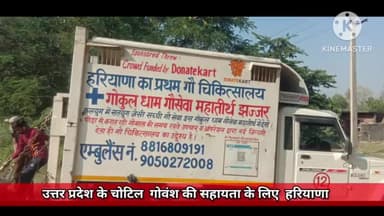 फतेहगंज पूर्वी: उत्तर प्रदेश के चोटिल गोवंश के उपचार के लिए हरियाणा से आई एंबुलेंस