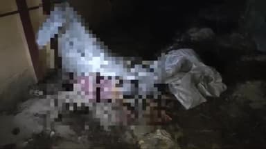 अररिया: कुसियारगाँव पॉलिटेक्निक कॉलेज के समीप एक अज्ञात व्यक्ति का मिला शव,घटना की सूचना पर पहुंची नगर थाना पुलिस