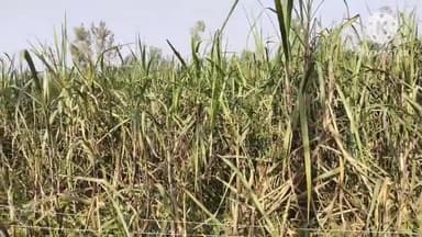 गन्ना किसानों के बकाया भुगतान को लेकर किसान नेता देवस्वरूप पटेल ने प्रमुख सचिव को भेजा पत्र