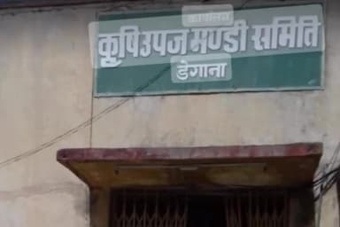 डेगाना: गुरूवार को कृषि मंडी डेगाना में जीरा 51000 रूपये तो सौंफ 19000 रूपये प्रति क्विंटल तक बिकी