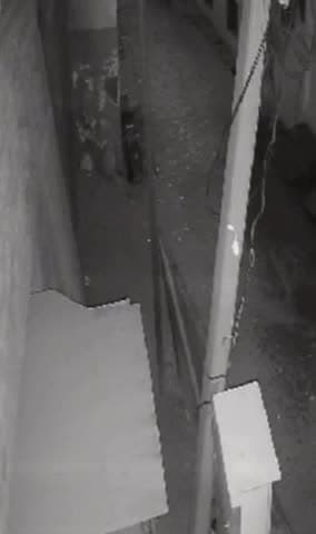 उरई: उरई कोतवाली क्षेत्र के कालपी रोड पर बाइक सवार बदमाश ने महिला के साथ की चेन स्नैचिंग, घटना सीसीटीवी में हुई कैद