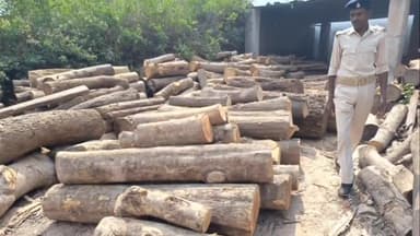 लोहरदगा: रिलायंस पेट्रोल पंप के समीप लक्ष्मी विलाश टिम्बर से वन विभाग की टीम ने भारी मात्रा में अवैध इमारती लकड़ी किया बरामद।