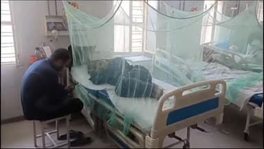 बरेली: जिले में डेंगू मरीजों की संख्या हुई 700 के पार, शनिवार को 23 और मरीजों में डेंगू की हुई पुष्टि