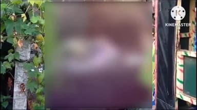 घाघरा: पलमा कोठाटोली में एक व्यक्ति ने पेड़ में फांसी लगाकर की आत्महत्या, पुलिस ने शव को भेजा पोस्टमार्टम हेतु गुमला