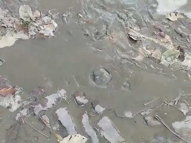 धौरहरा: ग्राम महरिया में पानी की टंकी की पाइप फटी होने की वजह से सड़क पर पानी भरने लगा
#mahariya