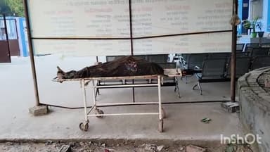 सासाराम: टेकारी गांव के पास ब्रिज से ट्रैक्टर पलटने से एक व्यक्ति की हुई मौत, सासाराम के सदर अस्पताल में कराया गया पोस्टमार्टम