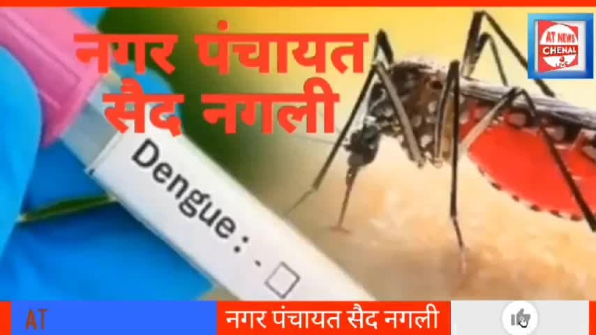 नगर पंचायत सैद नगली में डेंगू संकट: स्वास्थ्य विभाग व नगर निगम के अस्तित्व का सवाल #atnewschenal