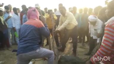 बिधूना: अछल्दा क्षेत्र के रामपुर गांव के पास खेतों में मगरमच्छ के मिलने से मचा हड़कंप, मौके पर जुटी लोगों की भीड़