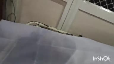 लाडपुरा: लालसोट मार्ग पर अरनेठा के निकट डंपर ने पैदल जा रहे किसान को कुचला, इलाज के दौरान MBS अस्पताल में हुई मौत