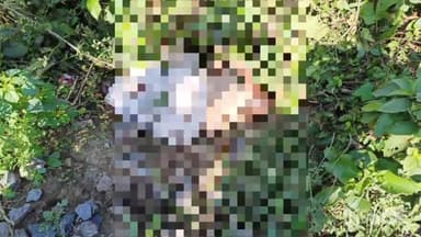 गोंडा: बहादुरपुर रेलवे क्रॉसिंग के पास मालगाड़ी की चपेट में आकर बुजुर्ग की हुई मौत, पुलिस ने शव को भेजा पोस्टमार्टम