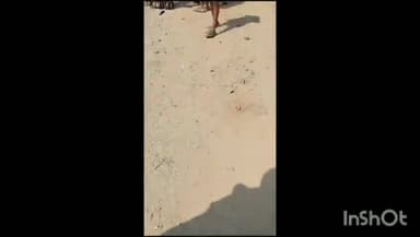 चित्तौड़गढ़: सिरोड़ी खान चौराहे के पास कार की चपेट में आने से बाइक सवार मां बेटे घायल, गंभीर हालत में जिला चिकित्सालय से उदयपुर रेफर