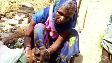 जमुई: हरला गांव में बकरी ने अद्भूत बच्चे को दिया जन्म,देखनेके लिए लोगों की लगी भीड़