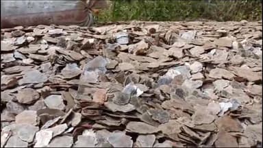 कोडरमा: वन विभाग ने गुप्त सूचना पर मसनोडीह से ढिबरा लोड शक्तिमान वाहन किया जब्त, चालक गिरफ्तार