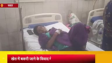 आज़मगढ़: हेंगाईपुर में खेत में बकरी चले जाने को लेकर पड़ोसियों ने भाई बहन की जमकर की पिटाई, जिला अस्पताल में कराए गए भर्ती