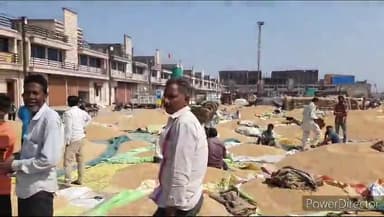 जावरा: अनाज मंडी जावरा में लहसुन ₹21000, प्याज ₹3400 चना डालर ₹15490 गेहूं 3090 और उड़द 10100 प्रति कुंतल के भाव बिके